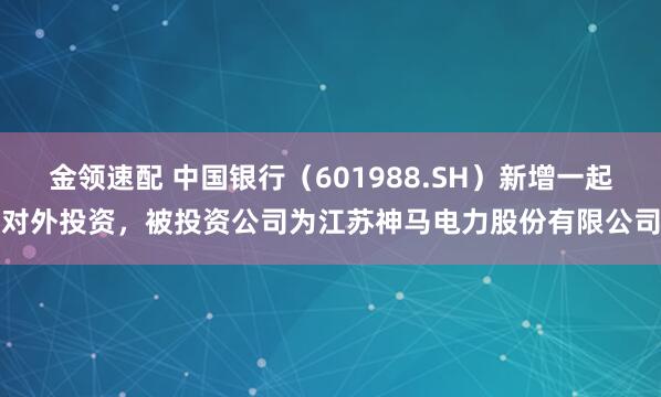 金领速配 中国银行（601988.SH）新增一起对外投资，被投资公司为江苏神马电力股份有限公司