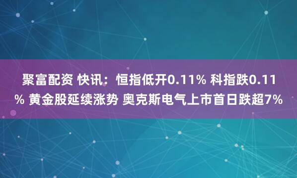 聚富配资 快讯：恒指低开0.11% 科指跌0.11% 黄金股延续涨势 奥克斯电气上市首日跌超7%