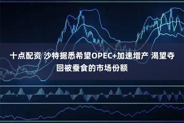 十点配资 沙特据悉希望OPEC+加速增产 渴望夺回被蚕食的市场份额