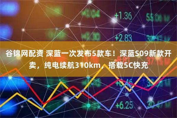 谷锦网配资 深蓝一次发布5款车！深蓝S09新款开卖，纯电续航310km，搭载5C快充