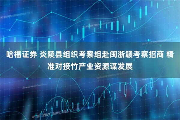 哈福证券 炎陵县组织考察组赴闽浙赣考察招商 精准对接竹产业资源谋发展