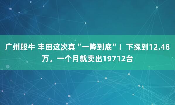 广州股牛 丰田这次真“一降到底”！下探到12.48万，一个月就卖出19712台
